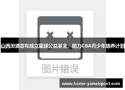 山西汾酒宣布成立篮球公益基金，助力CBA青少年培养计划